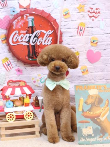 20230917まめくん